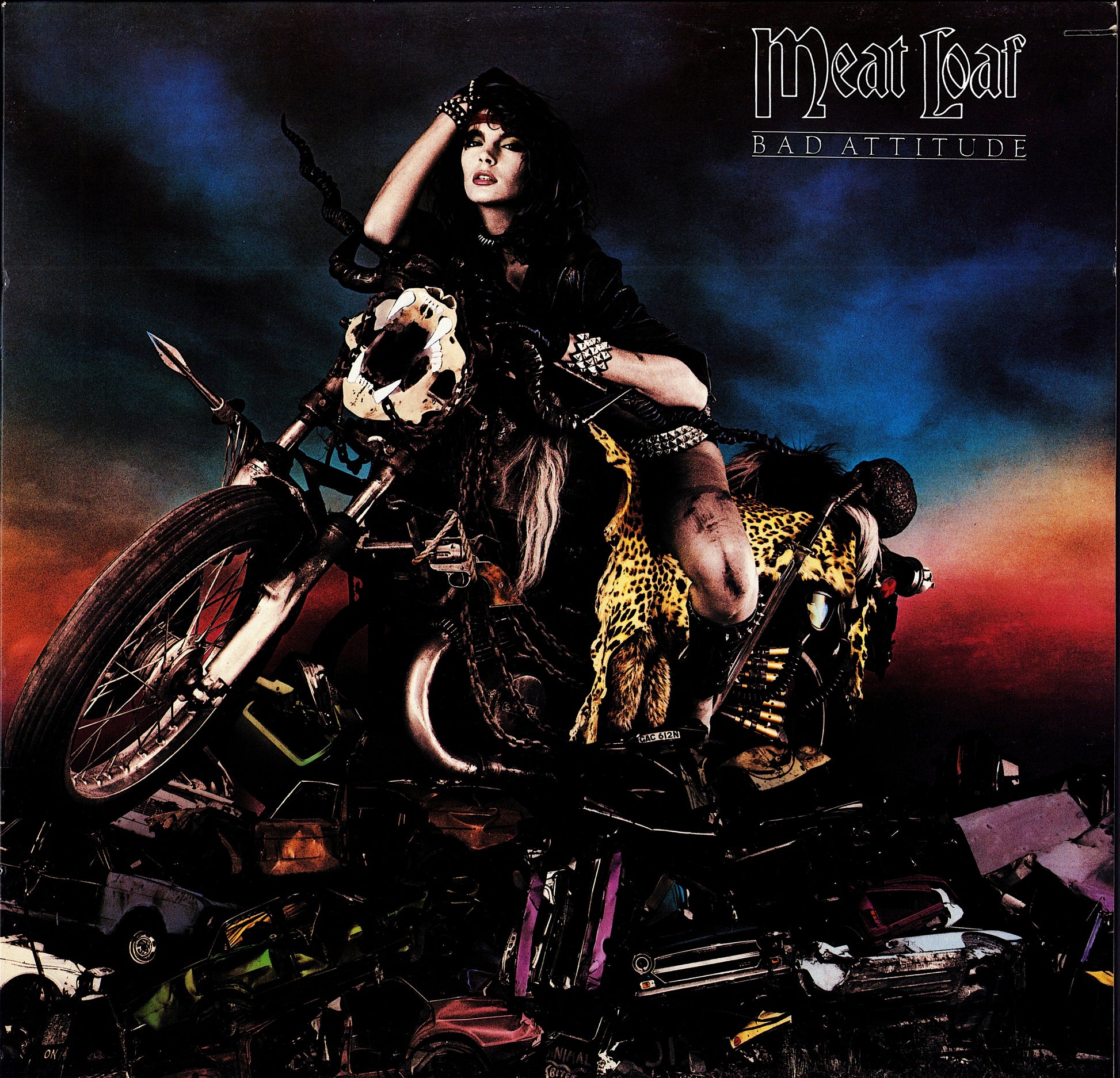 Meat Loaf - Hits Out Of Hell Vinyl LP Kopie