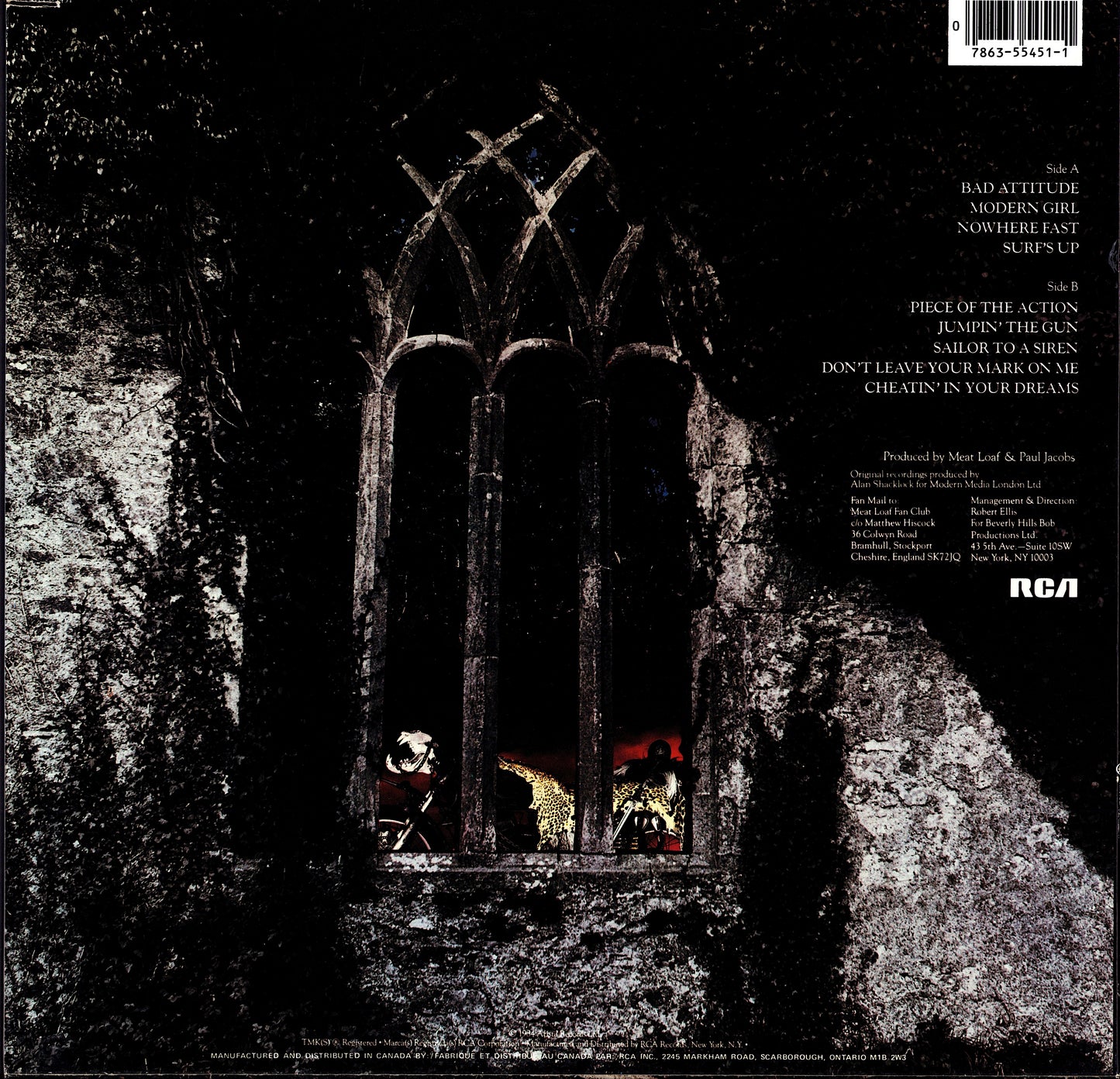 Meat Loaf - Hits Out Of Hell Vinyl LP Kopie