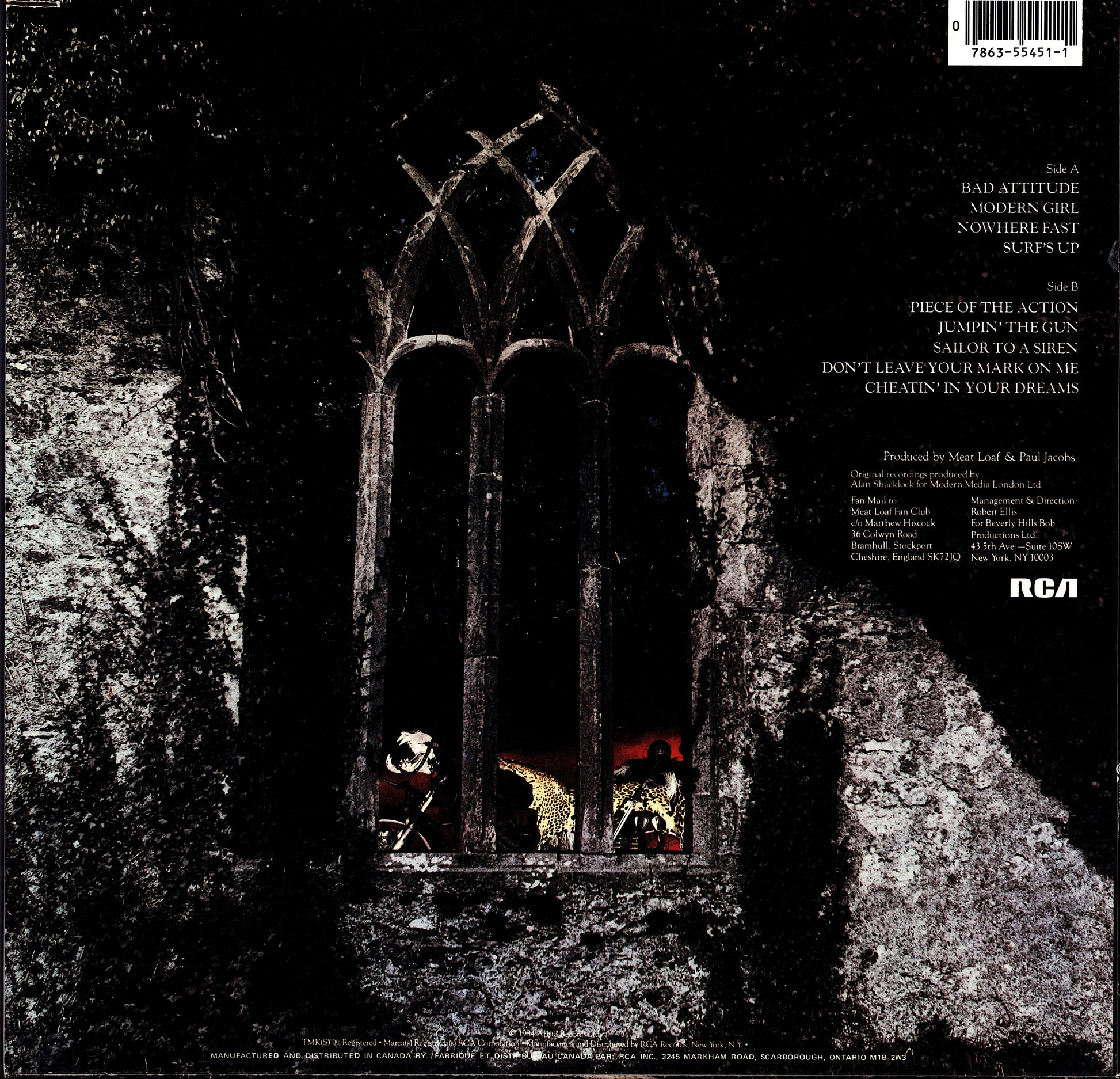 Meat Loaf - Hits Out Of Hell Vinyl LP Kopie