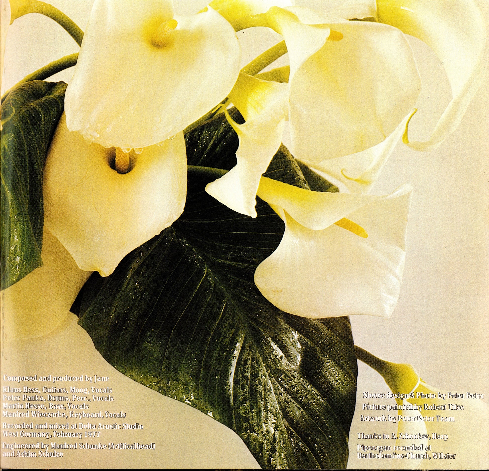 Jane ‎- Between Heaven And Hell Vinyl LP Kopie