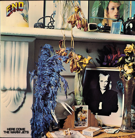 Brian Eno ‎- Here Come The Warm Jets Vinyl LP Kopie
