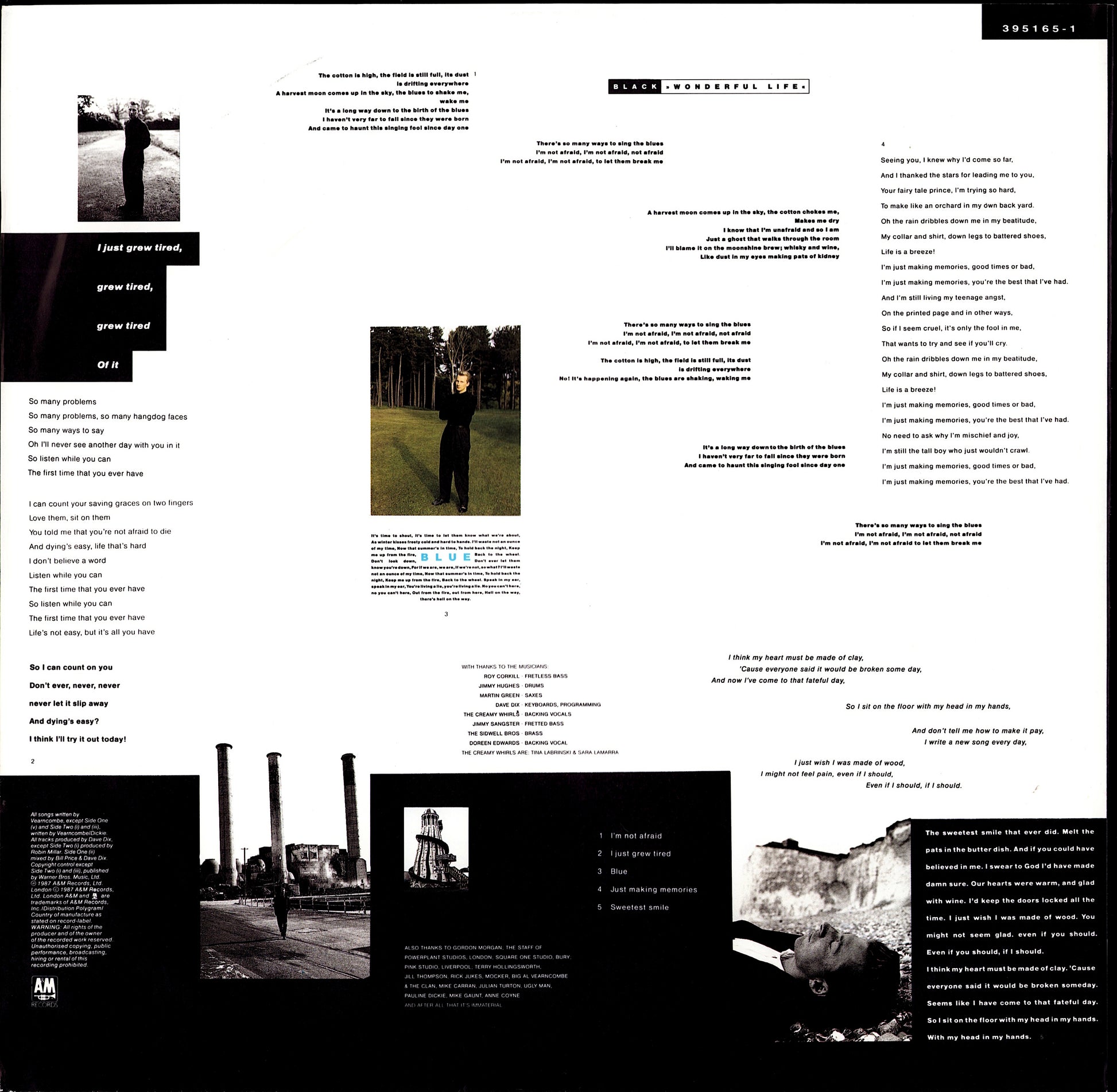 Black - Wonderful Life Vinyl LP