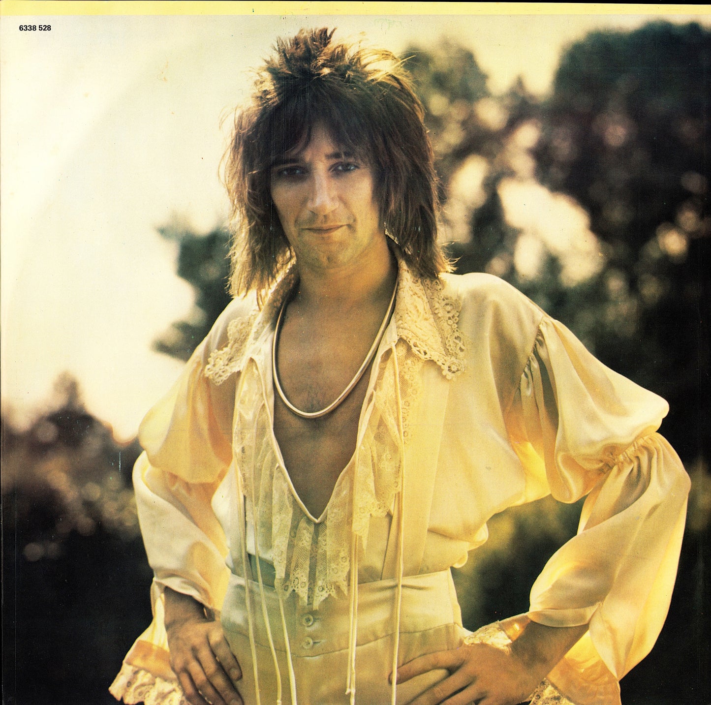 Rod Stewart - Smiler Vinyl LP Kopie