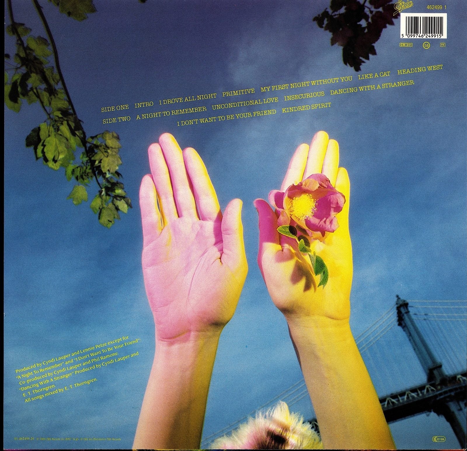 Cyndi Lauper ‎- True Colors Vinyl LP Kopie