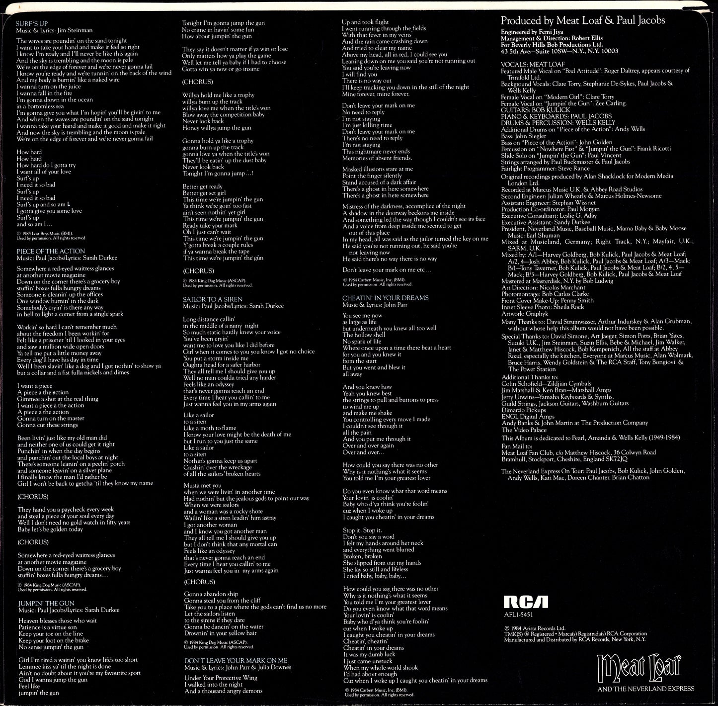 Meat Loaf - Hits Out Of Hell Vinyl LP Kopie