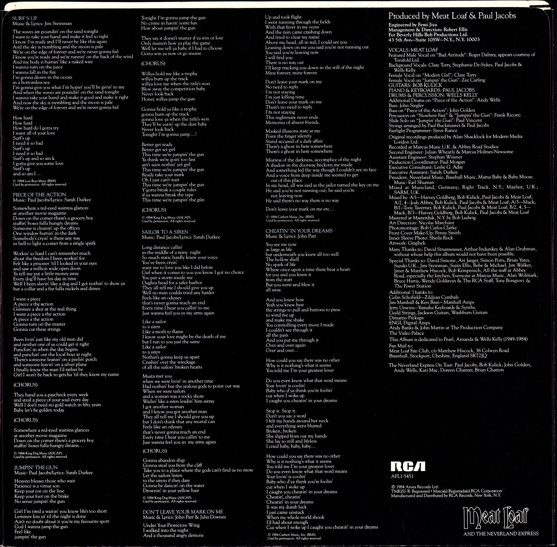 Meat Loaf - Hits Out Of Hell Vinyl LP Kopie