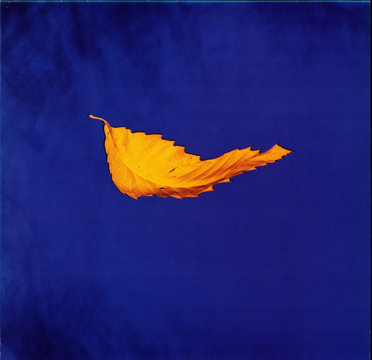 New Order - True Faith / 1963 Vinyl 12" Kopie