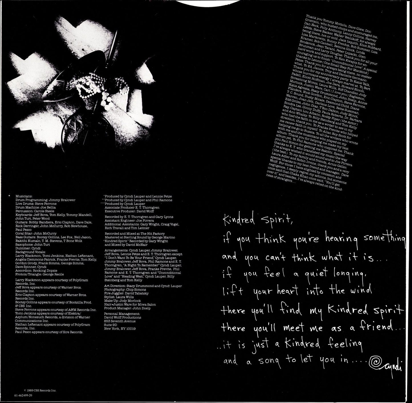 Cyndi Lauper ‎- True Colors Vinyl LP Kopie