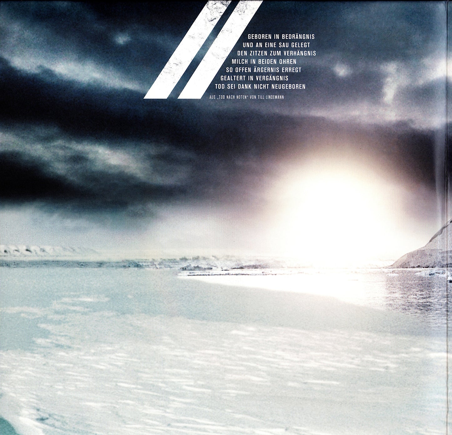 Rammstein - Rosenrot Vinyl 2LP EU Kopie