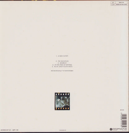 Trisomie 21 ‎- Final Work Vinyl 12"