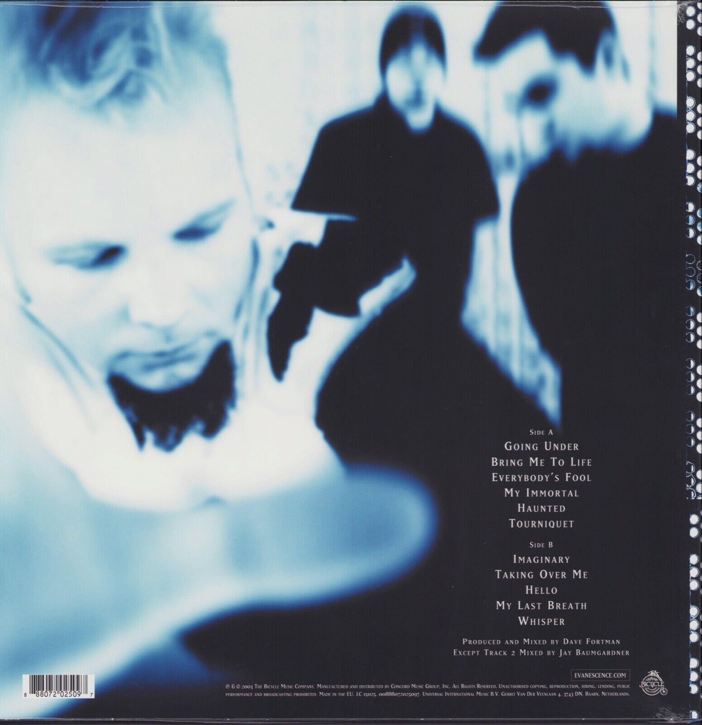 Evanescence ‎- Fallen Vinyl LP