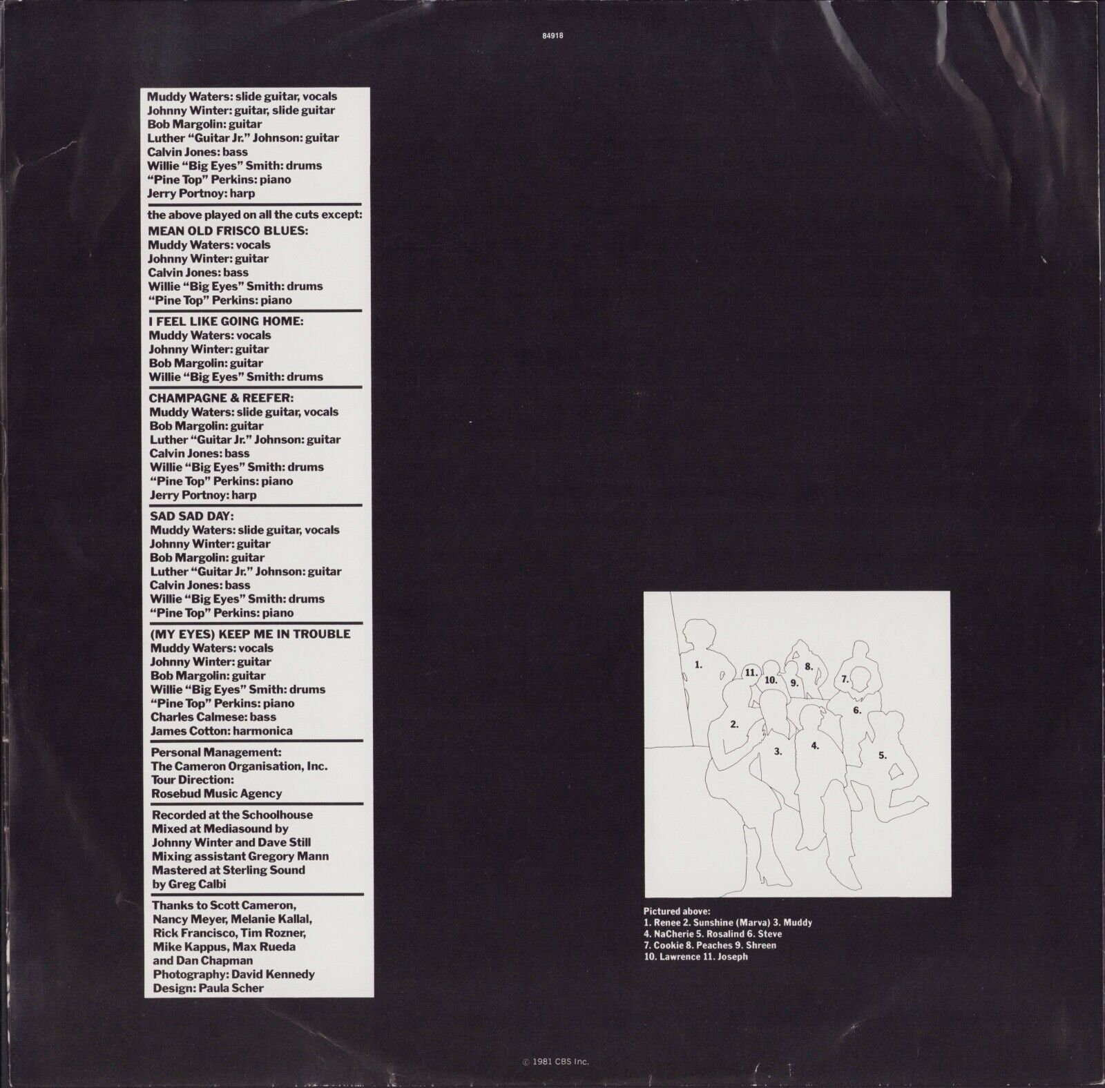 Muddy Waters ‎- King Bee Vinyl LP
