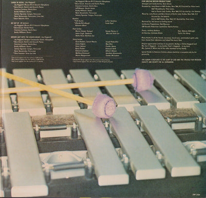 Jay Hoggard ‎- Days Like These Vinyl LP