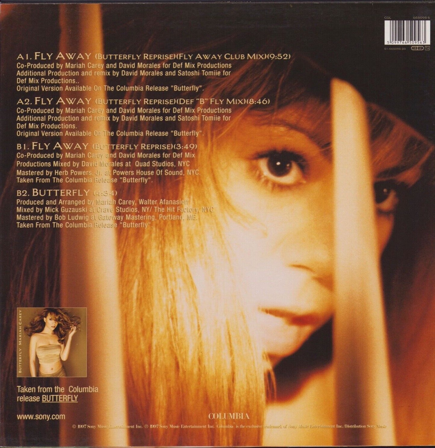 Mariah Carey ‎- Butterfly Vinyl 12"