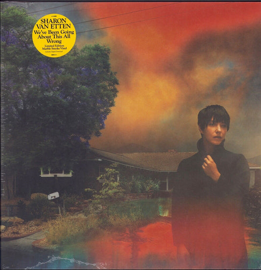 Sharon Van Etten - We've Been Going About This All Wrong Marble Smoke Vinyl LP Limited Edition