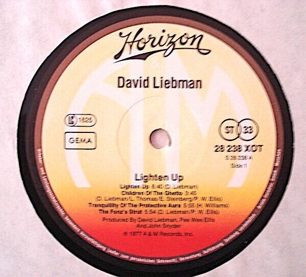 David Liebman ‎- Light'n Up, Please! Vinyl LP