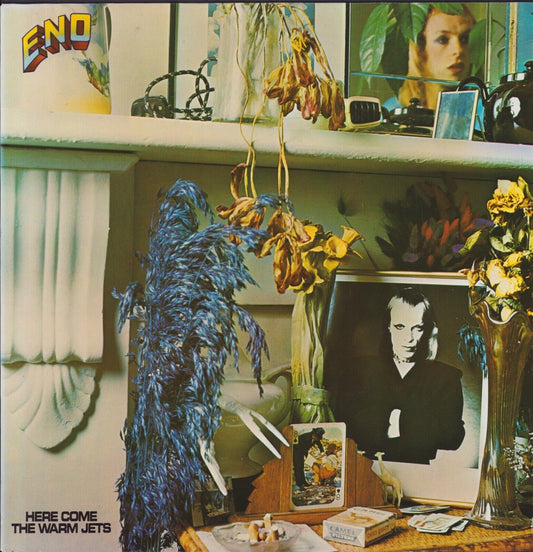 Brian Eno ‎- Here Come The Warm Jets Vinyl LP
