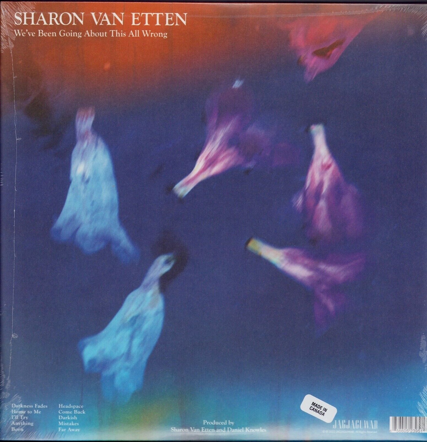 Sharon Van Etten - We've Been Going About This All Wrong Black Vinyl LP