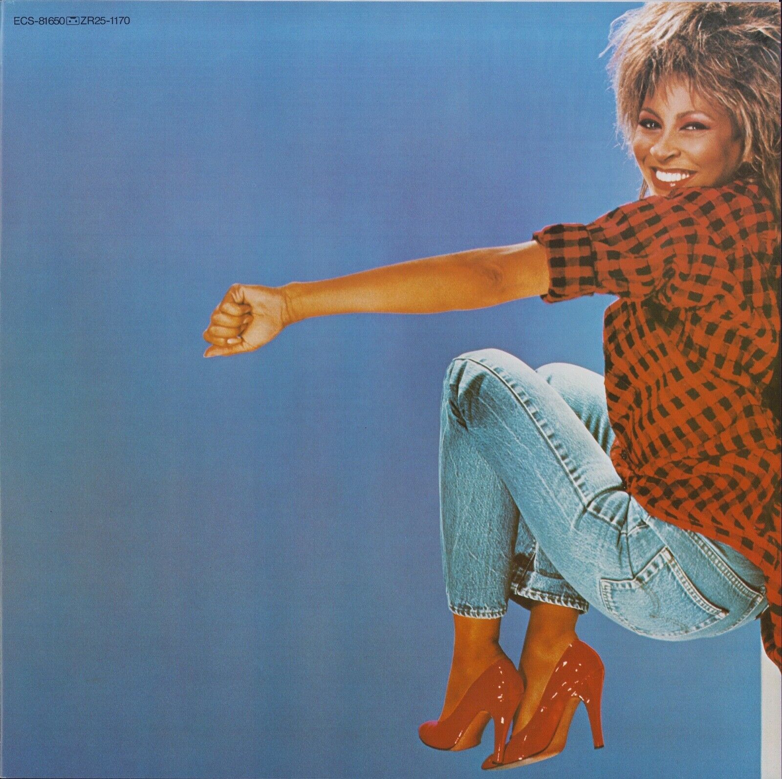 Tina Turner ‎- Private Dancer Vinyl LP JAP
