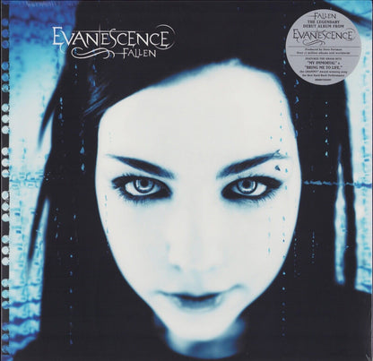 Evanescence ‎- Fallen Vinyl LP