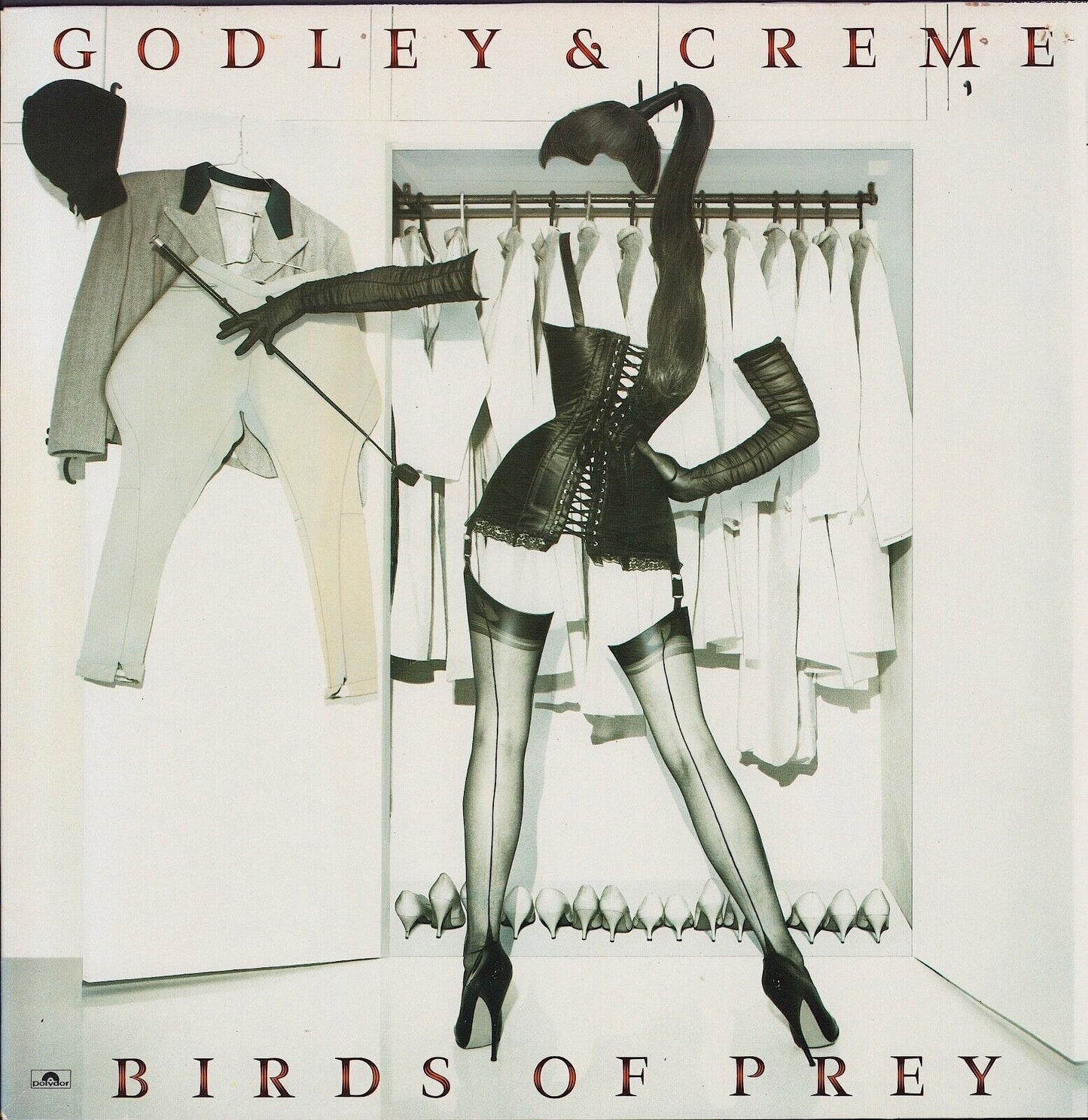 Godley & Creme ‎- Birds Of Prey Vinyl LP