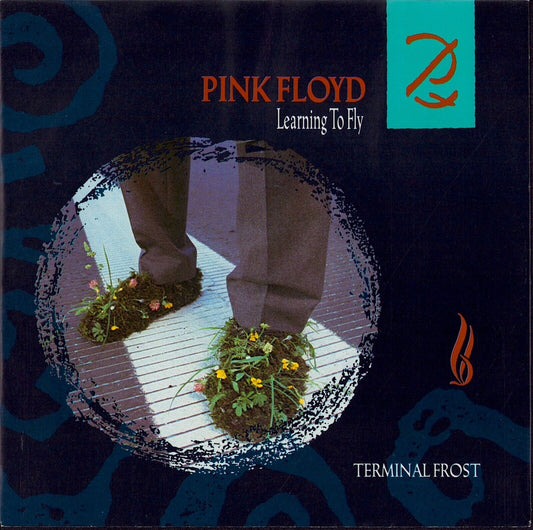 Pink Floyd - Learning To Fly / Terminal Frost Vinyl 7"