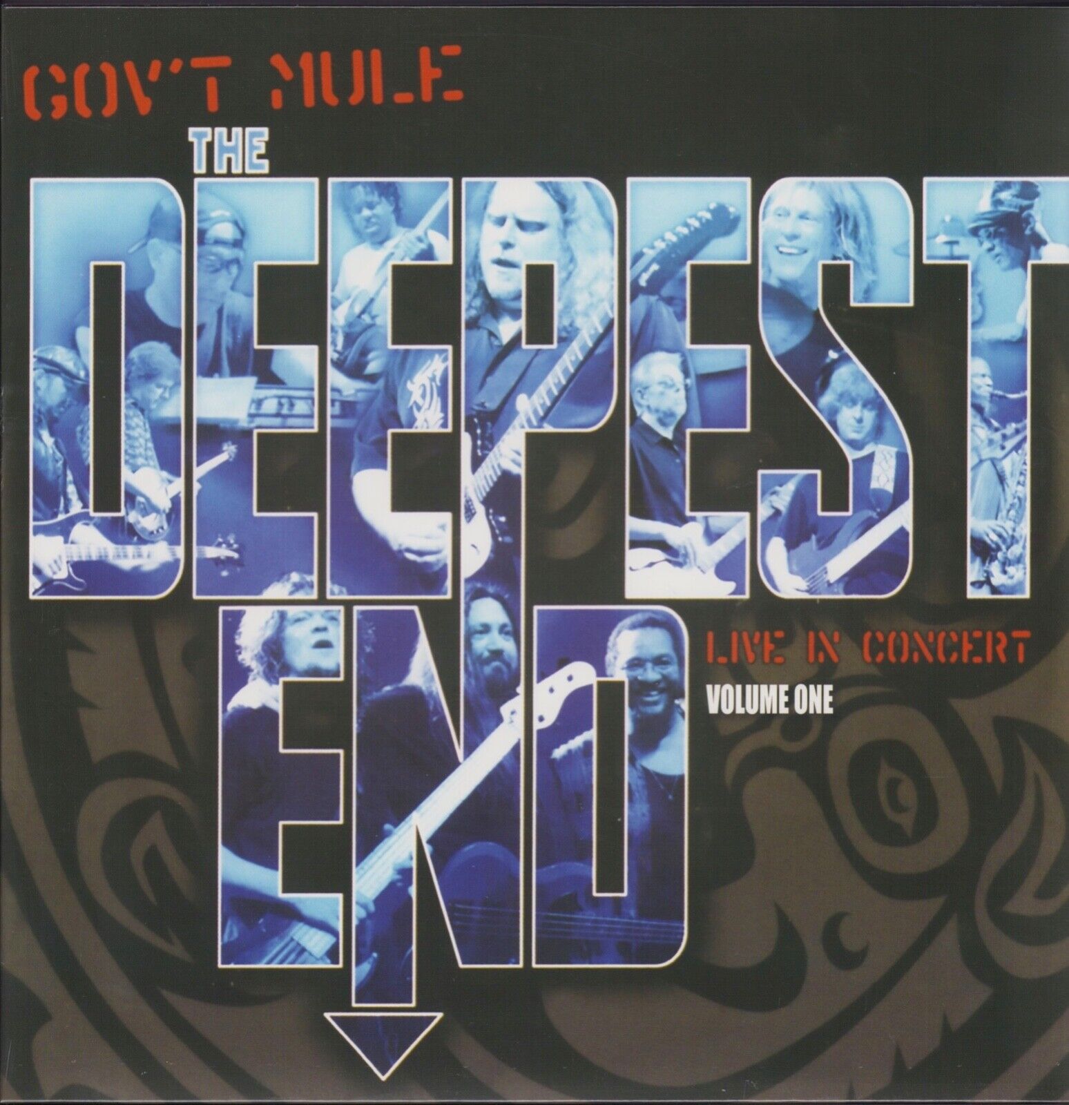Gov't Mule ‎- The Deepest End - Volume One Vinyl 2LP