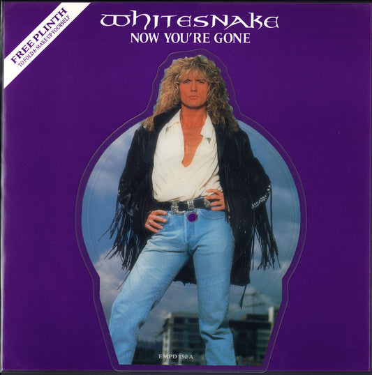 Whitesnake ‎– Now You're Gone Vinyl 7" Limited Edition Picture Disc Single