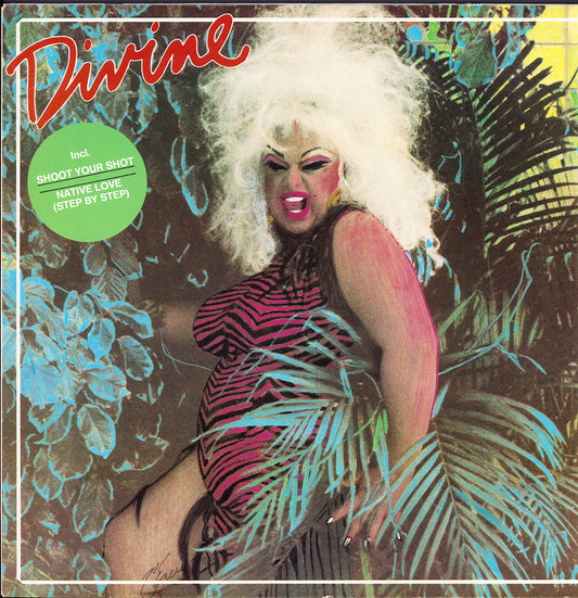 Divine - My First Album Vinyl LP