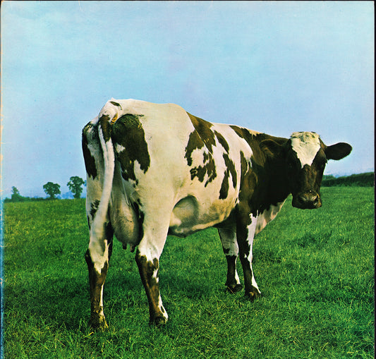 Pink Floyd - Atom Heart Mother Vinyl LP DE