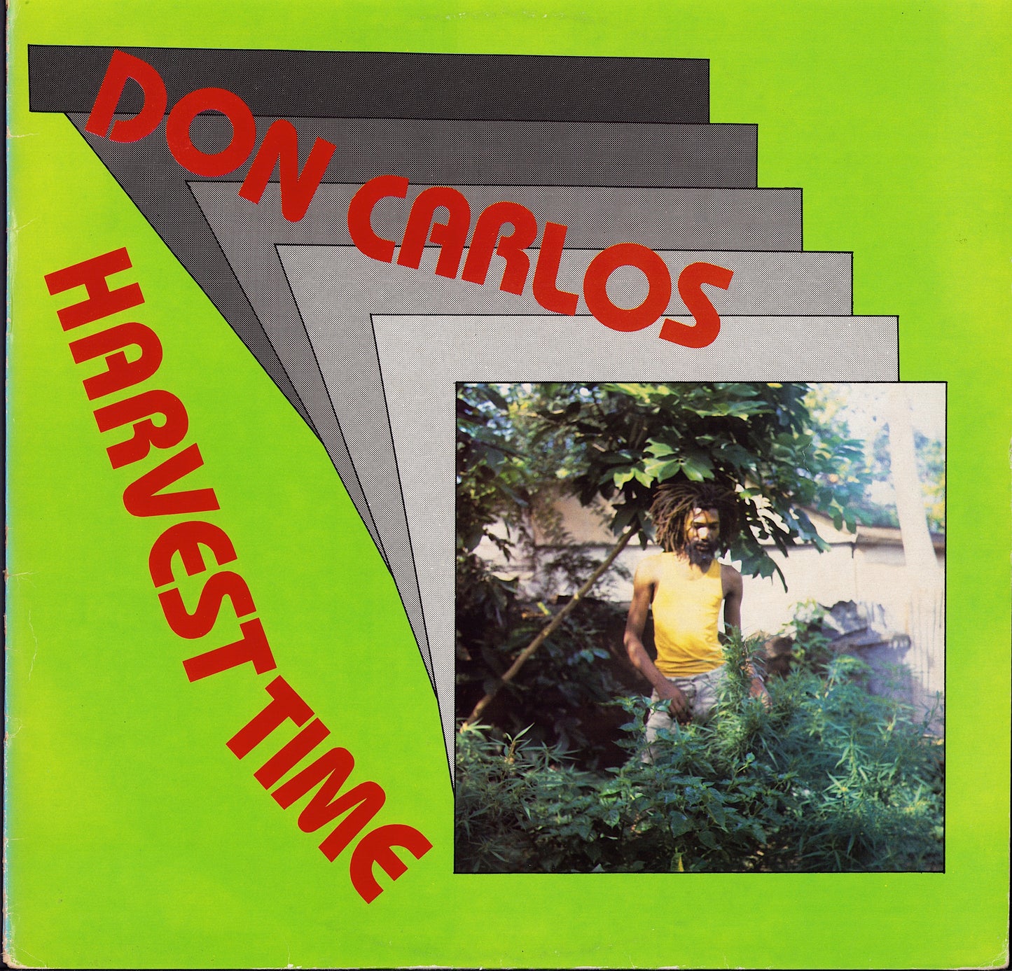 Don Carlos ‎- Harvest Time (Vinyl LP) UK