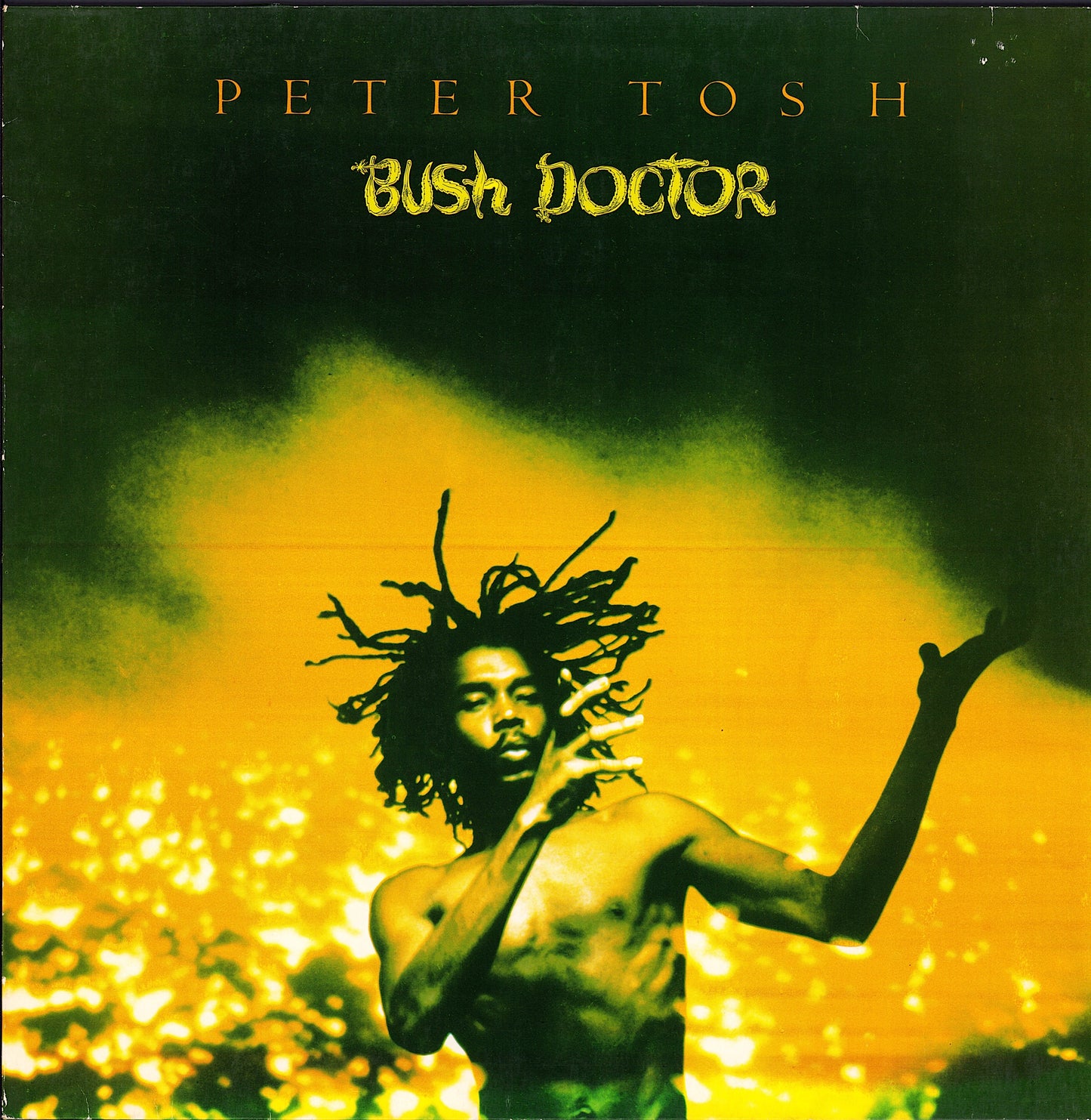 Peter Tosh ‎- Bush Doctor Vinyl LP